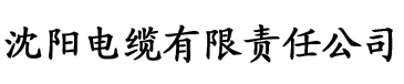 91九色香蕉视频电缆厂logo